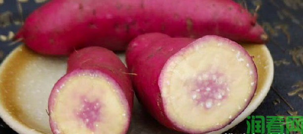 秋季多吃红薯利健康