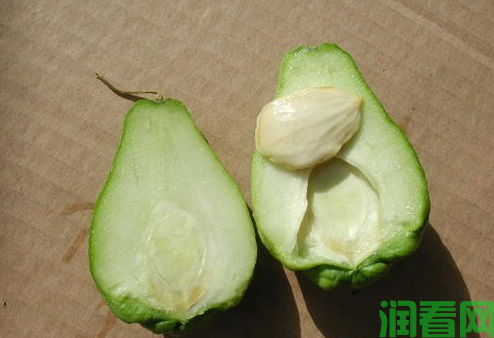 佛手瓜的籽可以吃吗？有什么功效？