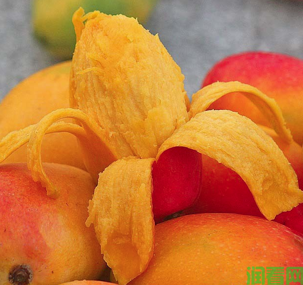 芒果生理成熟与后熟特点