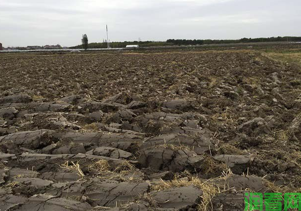哪些措施使稻田肥力提高？